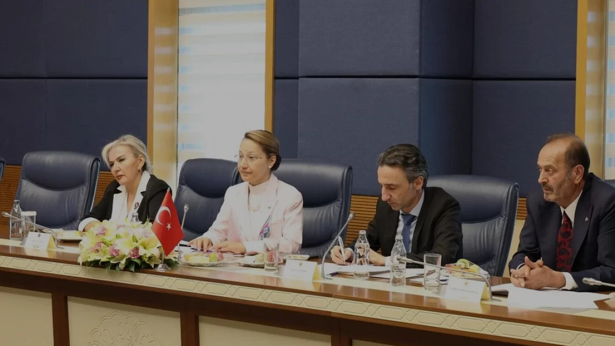 Türkiye ve Peru Arasında Parlamenter Diplomasi ve Ticaret Görüşmesi