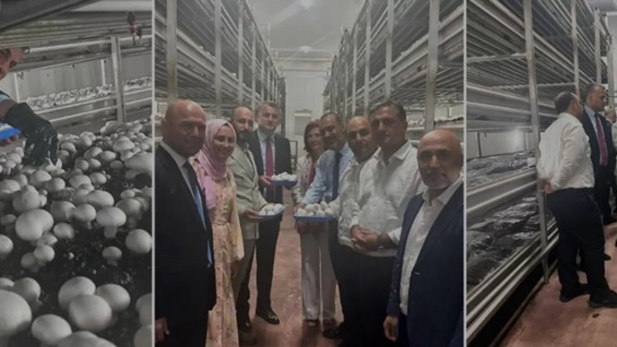 Van Mantar Üretim Tesisine IPARD Destekli Modernizasyon Hamlesi