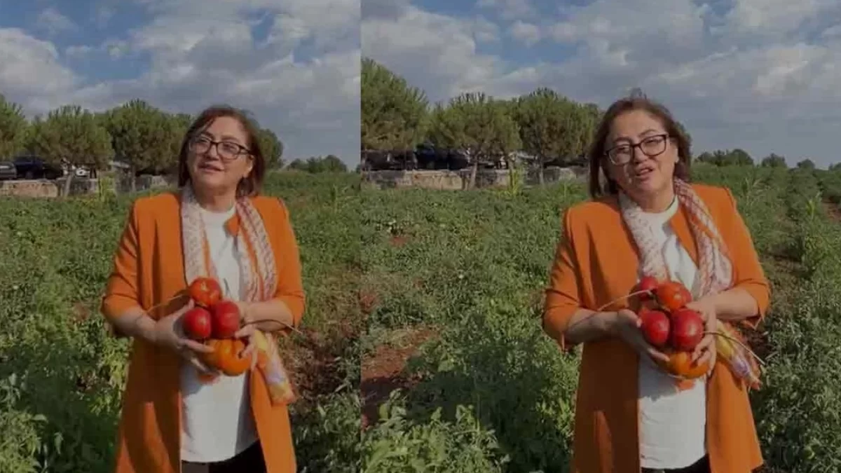 Gaziantep Büyükşehir Belediyesi ata tohumlarını ücretsiz dağıtıyor