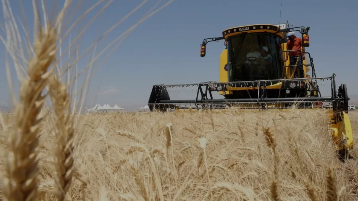 Güneydoğu Anadolu Hububat İhracatı 2.2 Milyar Dolara Ulaştı