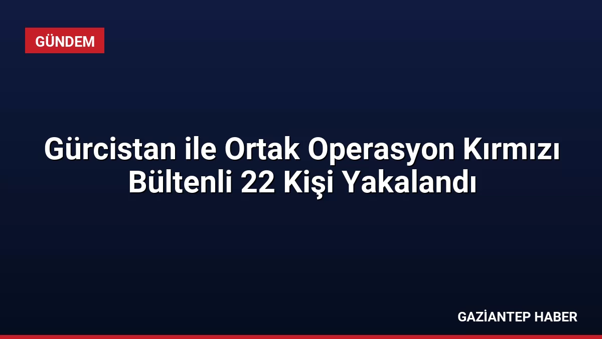 Gürcistan ile Ortak Operasyon Kırmızı Bültenli 22 Kişi Yakalandı