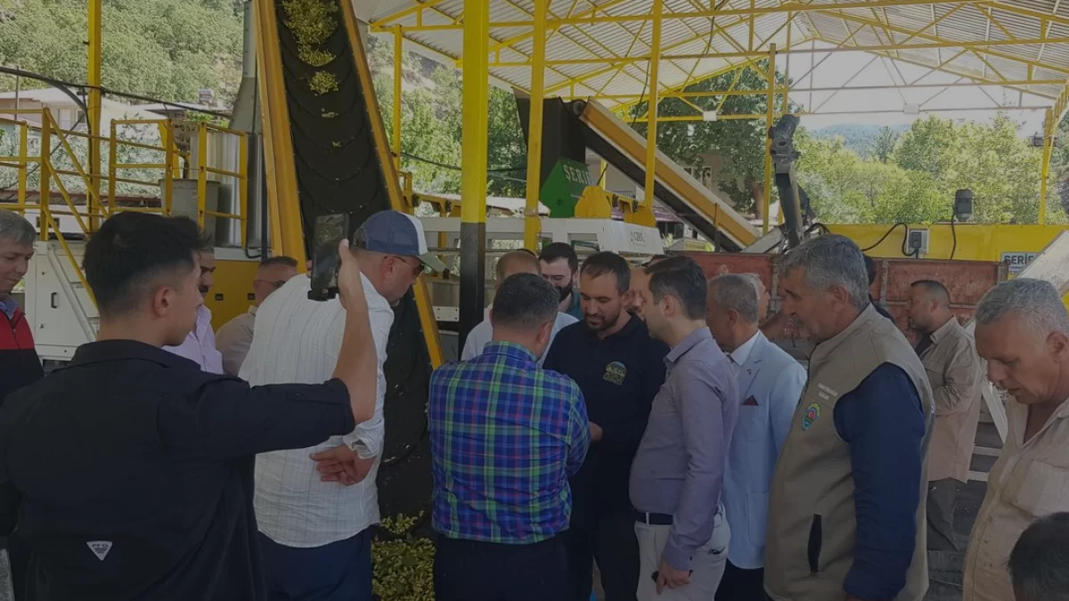 İslahiye’de Kurulan Yeni Tesiste Günlük 8 Ton Fıstık İşleniyor