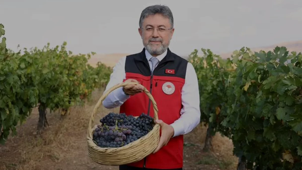 TMO Cumhuriyet tarihinin hububat alım rekorunu kırdı