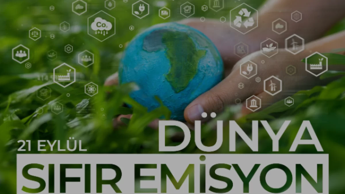 Türkiye Yenilenebilir Enerji Hamlesiyle Karbon Emisyonunu Azalttı