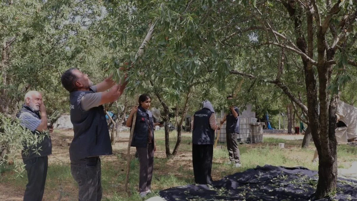 Gaziantep Kurtuluş Ormanı uluslararası gönüllüleri ağırlıyor
