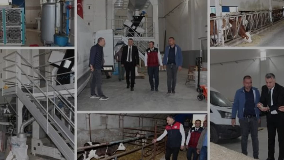Nevşehir Kırsalında Modern Tarım Hamlesi İki Yeni Tesisle Başladı