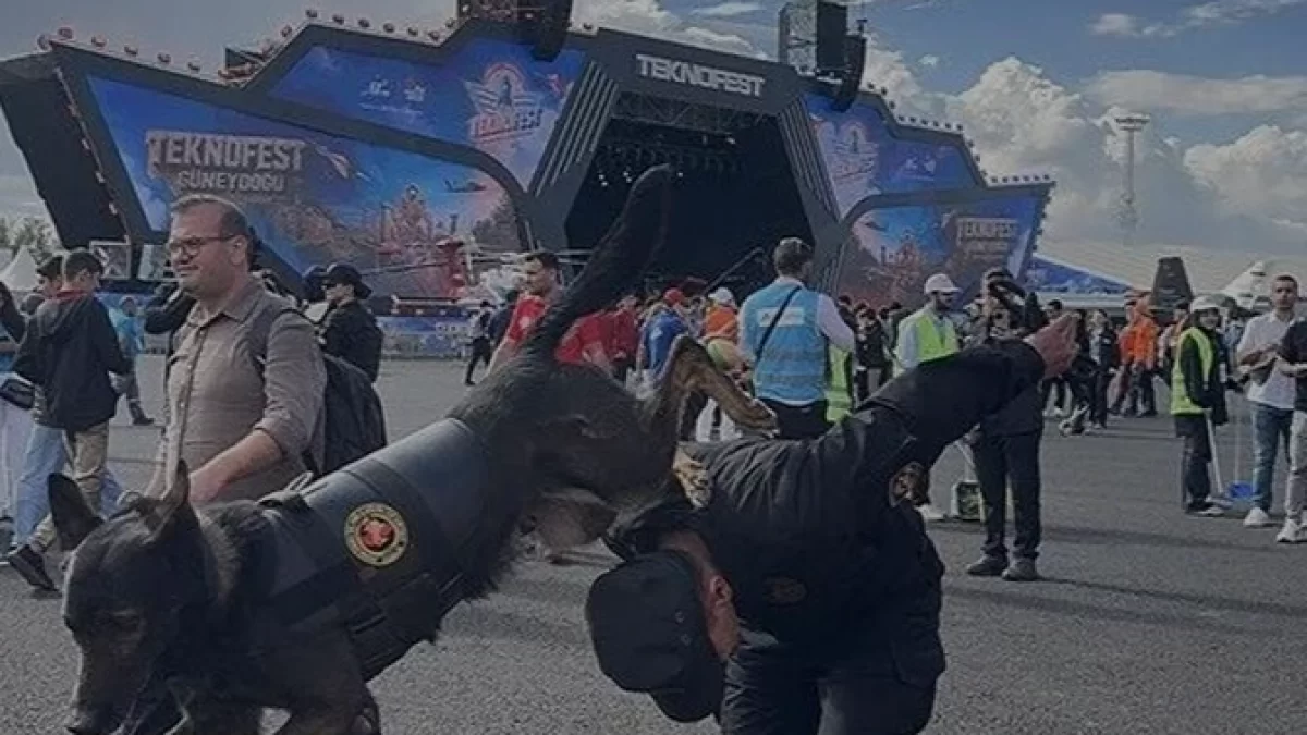 TEKNOFEST Güneydoğu’da Jandarma Operasyon Köpeklerine Büyük İlgi